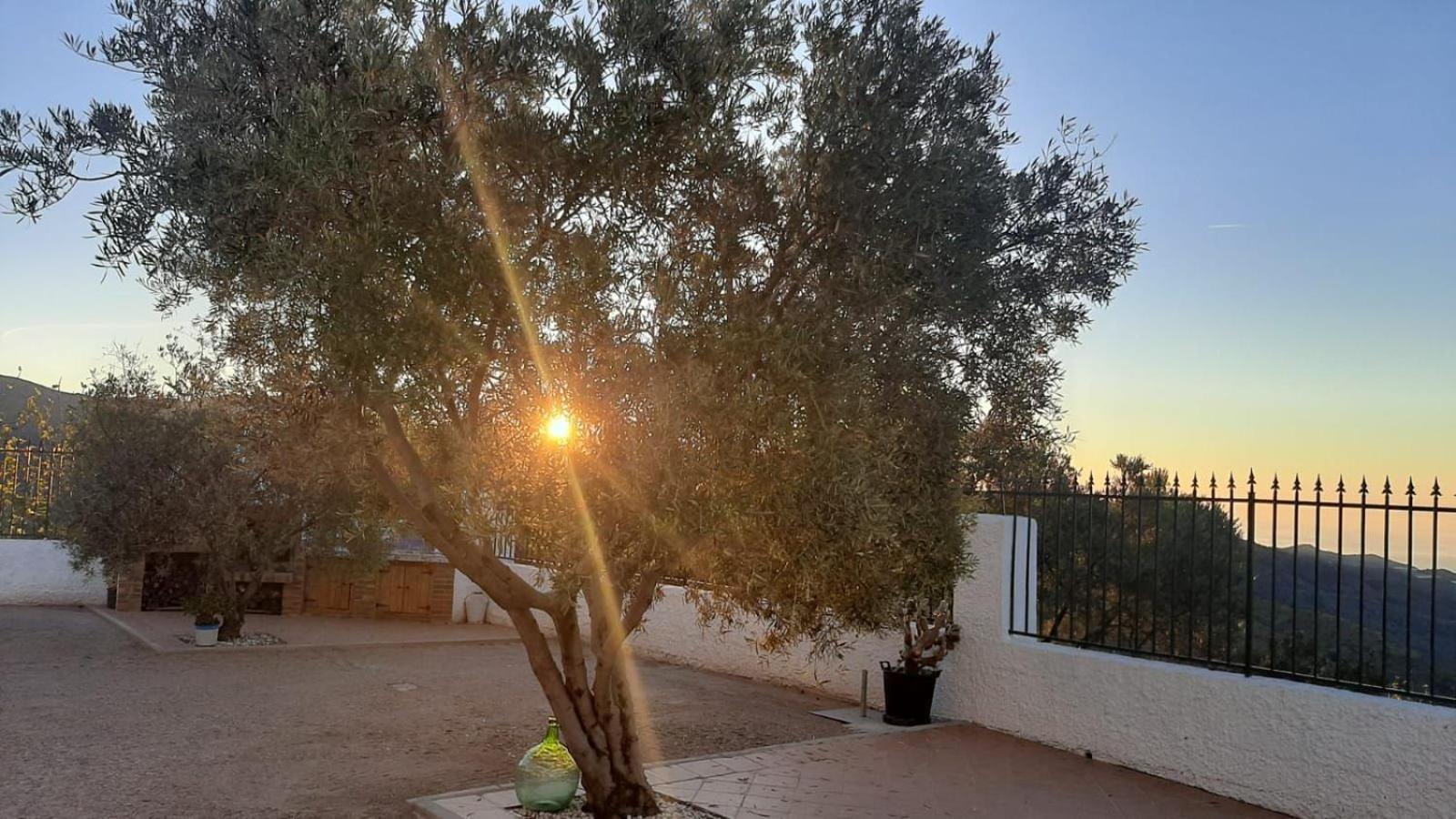 Cortijo Blanco Villa Albondon Dış mekan fotoğraf