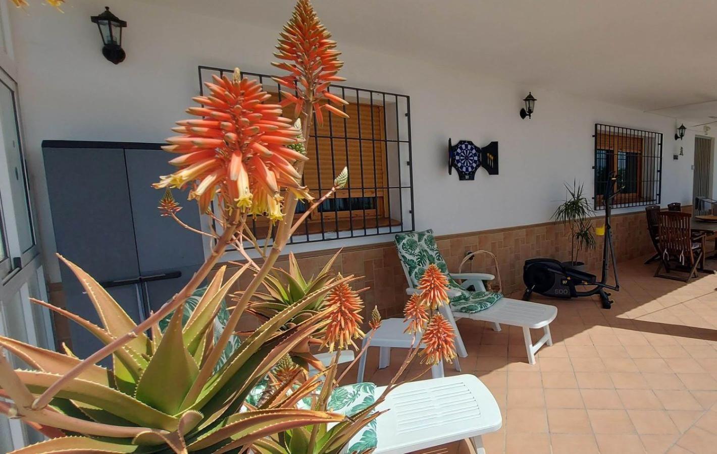 Cortijo Blanco Villa Albondon Dış mekan fotoğraf