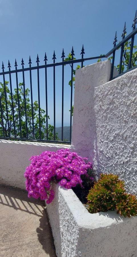 Cortijo Blanco Villa Albondon Dış mekan fotoğraf